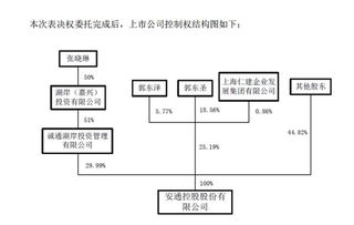 安通控股易主 新东家获29.99%股份表决权，开启受托管理新篇章